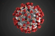 ZDA Nemčiji poskušajo speljati cepivo proti koronavirusu?