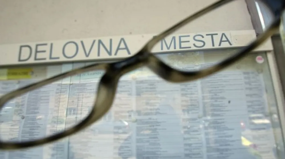 Slovenci bi priložnost za zaposlitev v EU iskali predvsem v Avstriji. Glavni razlog je bolj&scaron;i zaslužek kot doma.