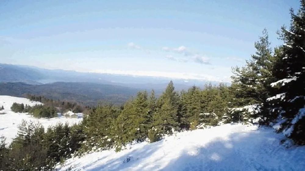 Nad prostranimi notranjskimi gozdovi se v dalji ble&scaron;čijo zasneženi julijski  gradovi.