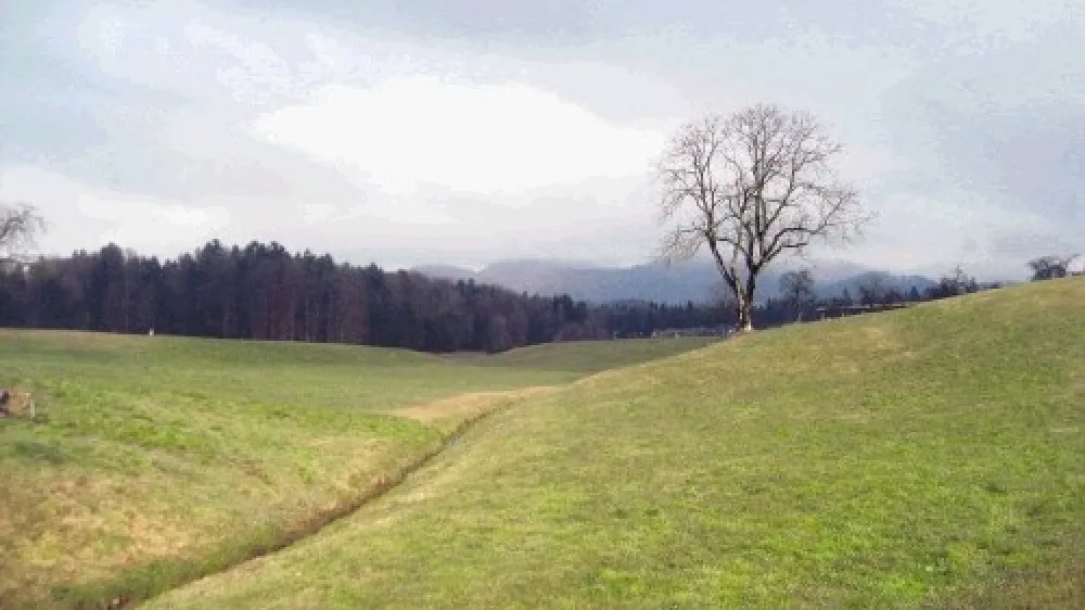 Kmetijsko-gozdarska zadruga Kamnik, ki ni bila nikoli lastnica "prodanih" zemlji&scaron;č v Volčjem Potoku, bo zanje dobila skoraj &scaron;e enkrat več zemlji&scaron;č v Podgorju in &scaron;e  kup "ugodnosti".