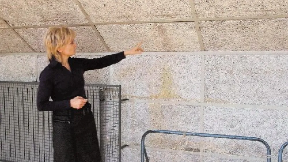 Voda skozi dotrajano streho vsakič priteče na drugem koncu telovadnice, v kateri so stene obložene tudi s plo&scaron;čami, ki se jih ne da čistiti, zato je potrebna celovita prenova dvorane, pravi ravnateljica &scaron;ole Vanja Manfredo.