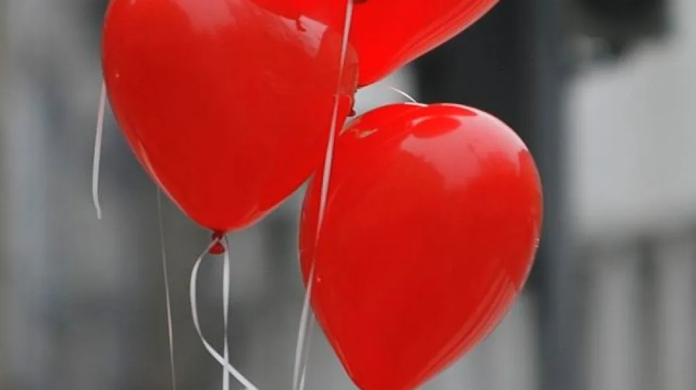 (foto: Matej Pov&scaron;e)