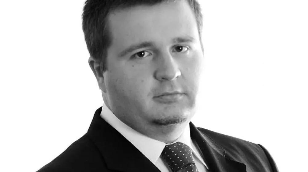 Matjaž Dlesk, Triglav Skladi