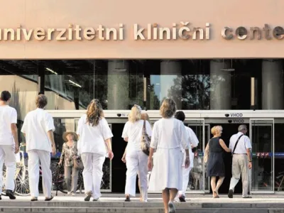 Tomaž Zajelšnik/dokumentacija Dnevnika