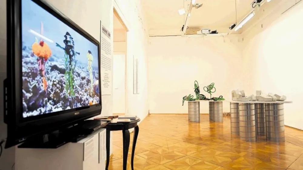 Rdeča nit leto&scaron;nje edicije festivala Maravee je  igra v umetnosti in umetnost igre.