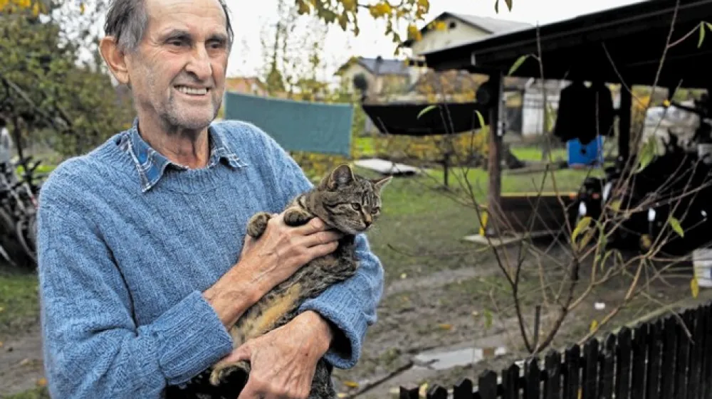 Na to, kako močno so mačke naklonjene ljudem, vplivajo tudi njihove življenjske izku&scaron;nje.
