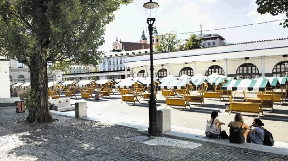 Dolga stoletja je bil Pogačarjev trg del drevoreda, ki so ga ob Ljubljanici zasadili v času Ilirskih provinc.