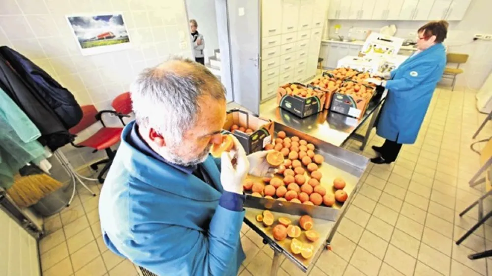 Fitosanitarni nadzor v koprskem pristani&scaron;ču. Hrva&scaron;ka je nadzor za izdelke s tretjih trgov poostrila in močno podražila, kar je najbolj razjezilo Srbijo, Bih, Črno goro in Makedonijo. Tomaž Skale