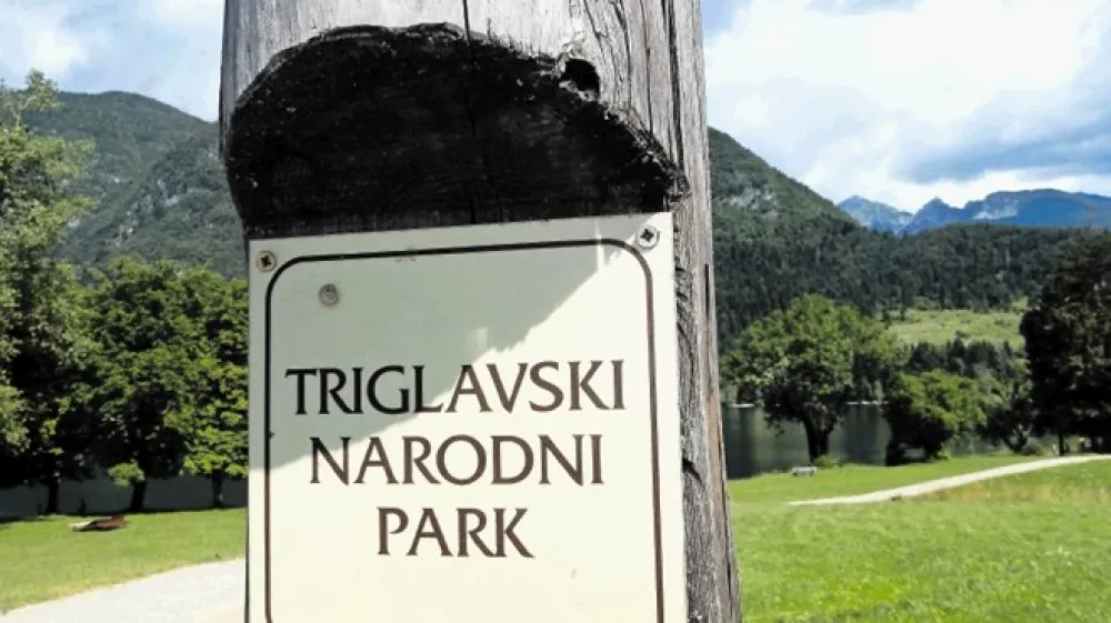 Izbor vodstva javnega zavoda, ki upravlja edini narodni park pri nas, je svetnike zavoda tako zmotil, da želijo spremeniti zakonodajo, po kateri bi sami izbirali direktorja, vlada pa bi ga le &scaron;e potrdila.