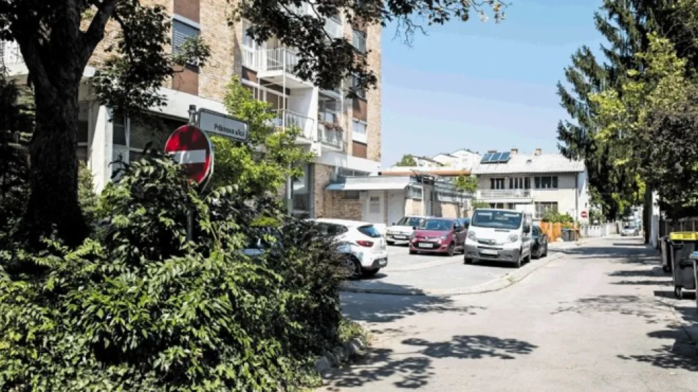 Pribinova ulica nosi ime po slovanskem knezu iz Spodnje Panonije. Njegovo ime naj bi pomenilo prvi oziroma prvi mož.