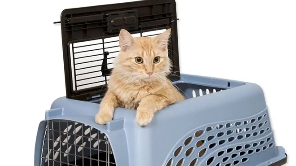 Transporter lahko mačka dojema tudi kot varno okolje in udobno leži&scaron;če, le navaditi jo je treba nanj.