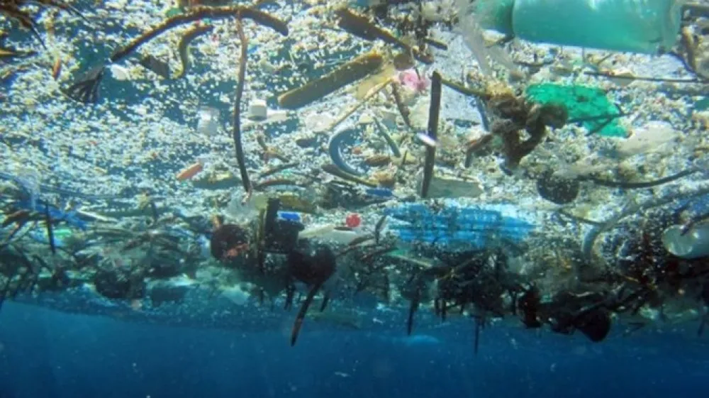 Plavajoči otok je 16-krat večji, kot so doslej domnevali, meri namreč 1,6 milijonov kvadratnih kilometrov, kar je kar trikratna velikost Francije.