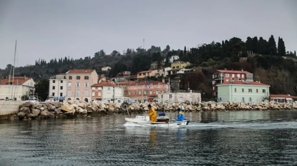 Koprskega ribiča bremenijo nedovoljenega ribolova v Piranskem zalivu in zahtevajo plačilo 28.000 evrov.