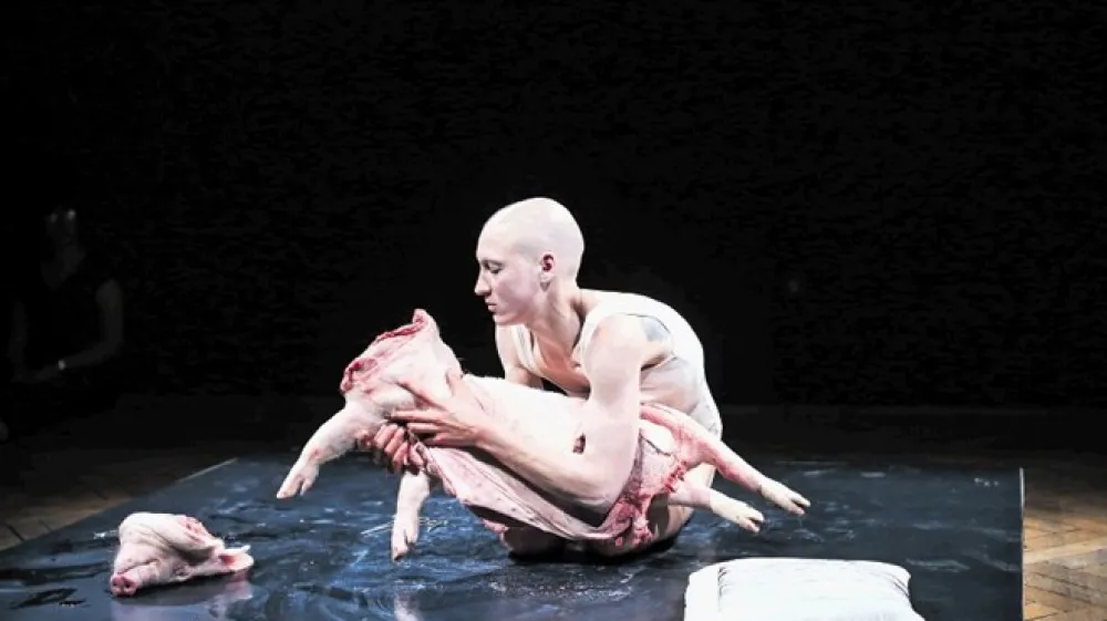 Če močan mesar v klavnici pra&scaron;iča z žago, noži in drugim orodjem zelo prefinjeno raztelesi, je drobnej&scaron;a Betina Habjanič v svojem zadnjem performansu z lastnimi rokami in majhno kirur&scaron;ko &scaron;ivanko počela obrnjeno &ndash; različne dele pra&scaron;ičjega telesa je pozorno za&scaron;ila nazaj skupaj.