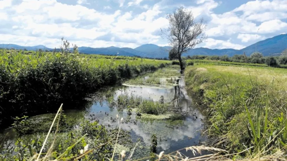 Če se ne dela celovito, vodo nekje samo ustavijo in jo preusmerijo na drugo območje, opozarjajo prebivalci južnega dela Ižanske ceste v Ljubljani.