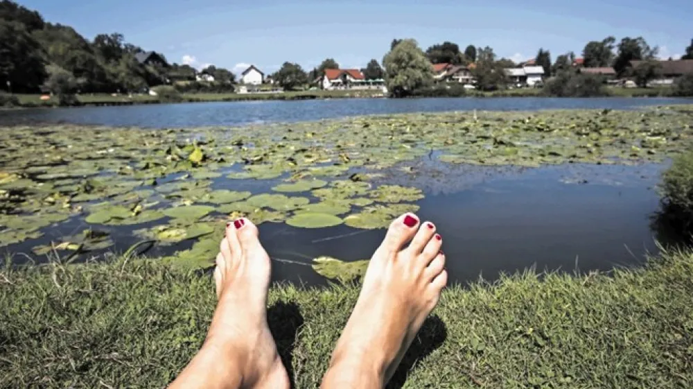 Analiza je pokazala odlično kakovost vode Podpe&scaron;kega jezera.