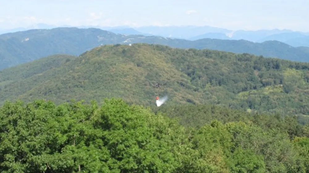 Požar na Sveti gori leta 2016.