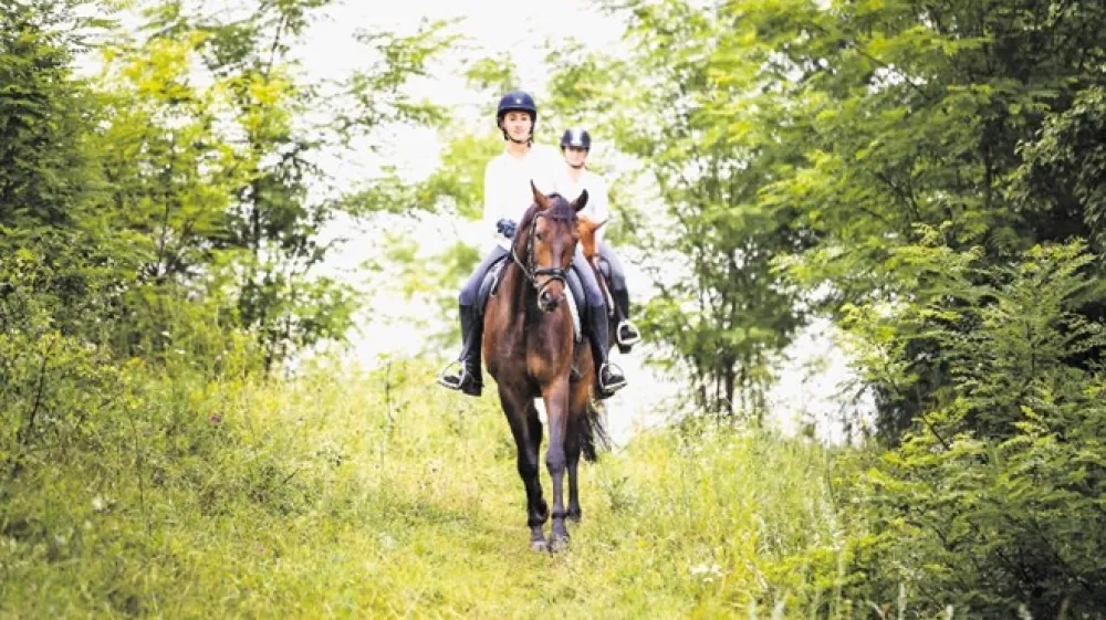 Jahači med ježo ohranjajo stik z naravo, kar blagodejno vpliva na splo&scaron;no počutje in zmanj&scaron;evanje stresa.