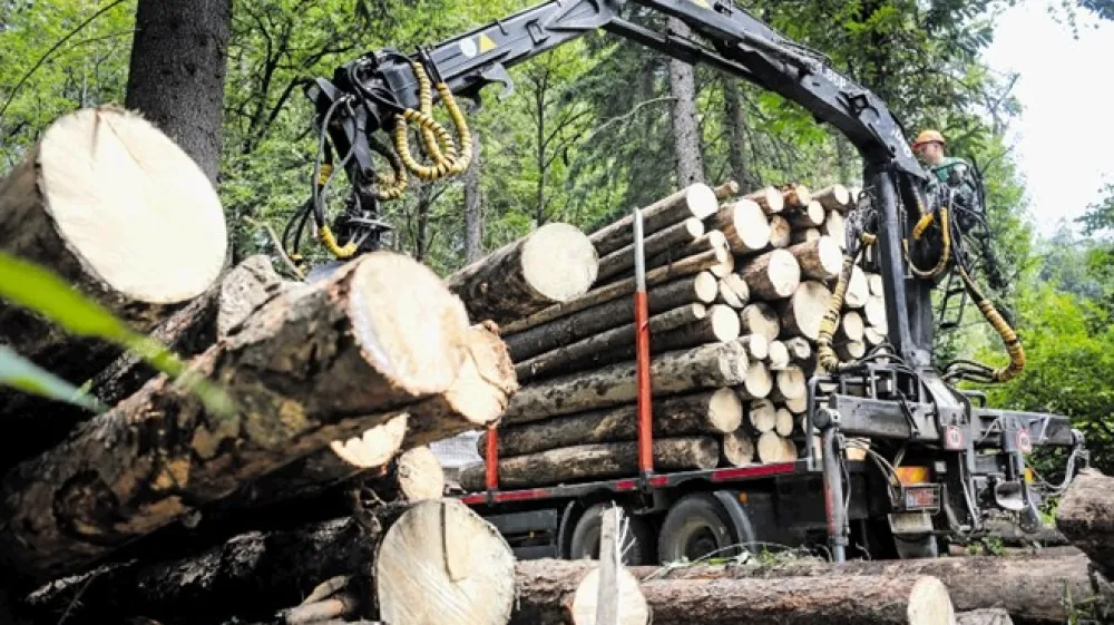 Potem ko se je &scaron;tevilo delovnih mest v zadnjih treh desetletjih skrčilo s 35.000 na 10.000, so nekateri ukrepi omogočili, da se je lesnopredelovalna industrija leta 2014 začela krepiti, ukrepi direktorata za lesarstvo pa so pozitivni trend pomembno podprli.