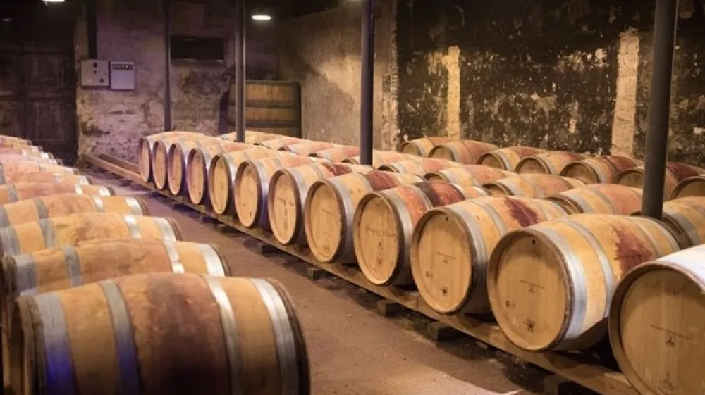 V vinorodnih okoli&scaron;ih bodo ta vikend praznovali martinovo.