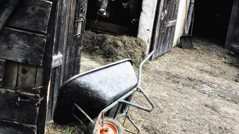 Kar 1180 prejemnikov kmetijskih subvencij je na svoj naslov prejelo obvestilo s povzetkom obračuna dohodkov, izplačanih v letu 2018, ki je bilo namenjeno drugemu prejemniku.