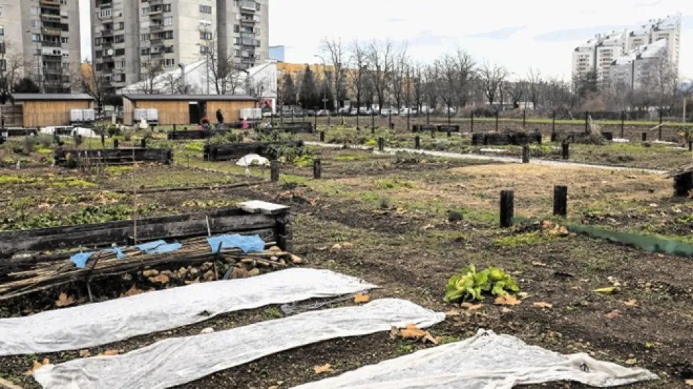 Mestni vrtički ob Vojkovi cesti