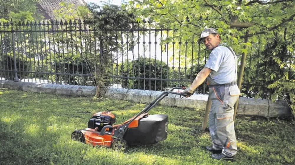 Preden začnete kositi v nedeljo, se pozanimajte, kateri  odlok velja v va&scaron;i občini.