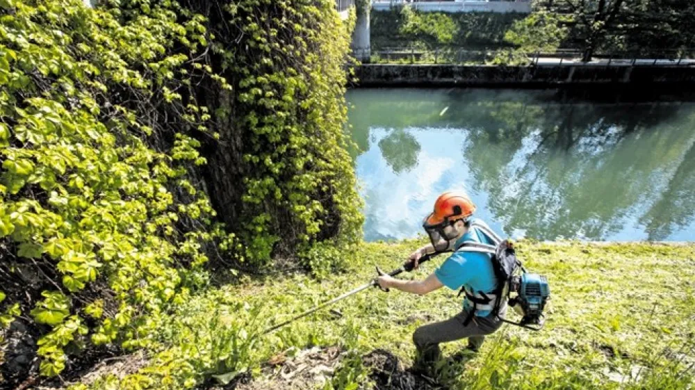 V večini osrednjeslovenskih občin povzročanje hrupa s kosilnico ali žago ob nedeljah in praznikih ni posebej prepovedano.