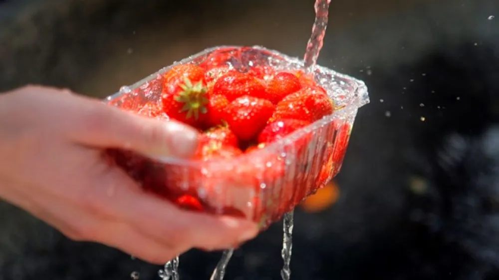 Fotografija je simbolična.