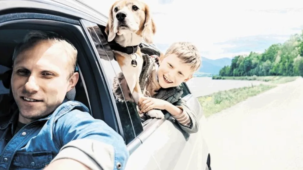 Čeprav se lahko zdi, da pes med vožnjo, ko je v kabini spu&scaron;čen in glavo moli skozi okno, uživa, je tak&scaron;en način prevoza neprimeren in zelo nevaren za psa.