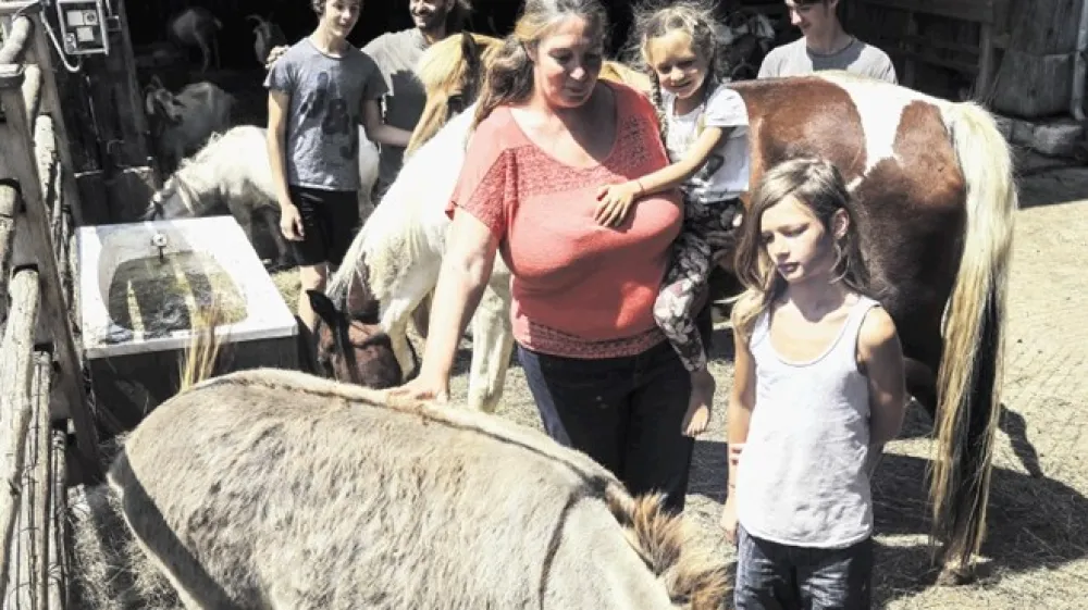 Očetu Ale&scaron;u in mami Iris pri skrbi za kmetijo, kuhanje in živali pomaga vseh pet otrok. Vsak ima svoje zadolžitve. &raquo;Včasih je treba stvari urediti malo po voja&scaron;ko, da delujejo,&laquo; porazdelitev nalog opi&scaron;e glava družine.