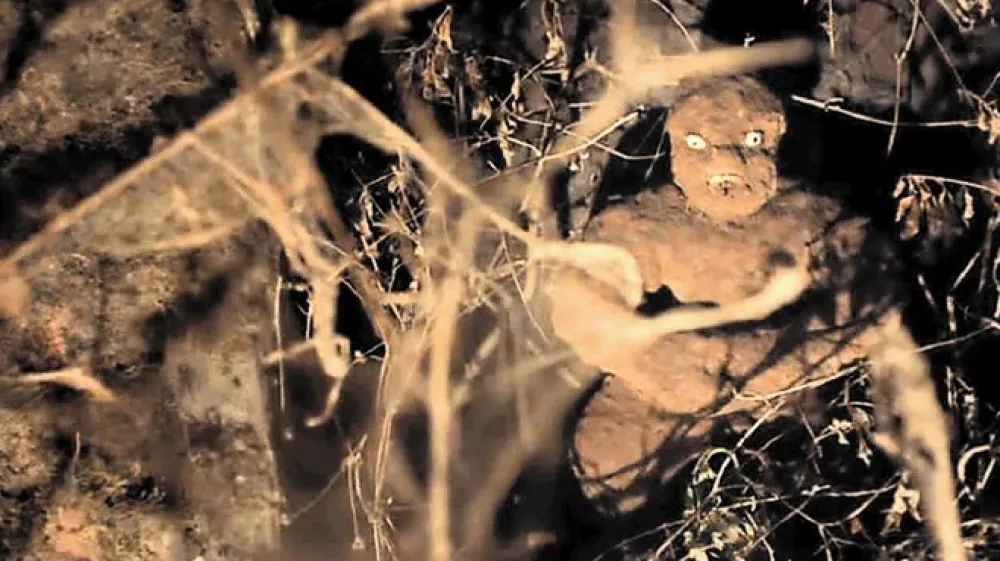 Glavna nagrada leto&scaron;njega Grossmannovega festivala hudi maček je &scaron;la indijskemu mitolo&scaron;kemu fantazijskemu filmu Tumbbad (2018), ki govori o stvariteljici vesolja. Podpisala sta ga Rahi Anil Barve in Adesh Prasad.