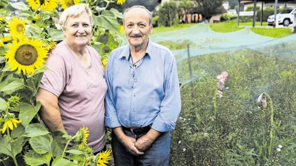 Ivanka in Janez Skubic imata lan posejan tudi na manj&scaron;em vrtu za hi&scaron;o.