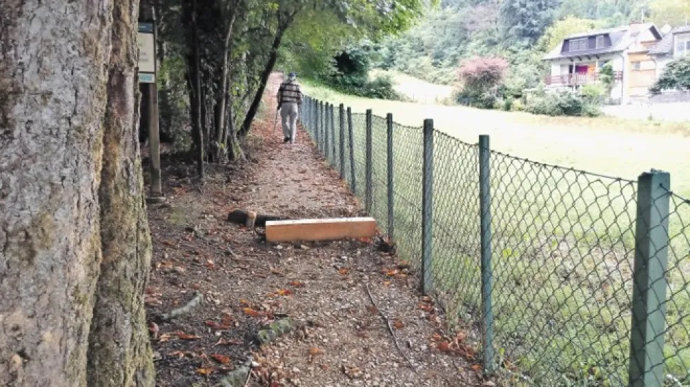 Medtem ko so mnogi sprehajalci veseli prenove poti na Rožnik iz Rožne doline, pa eden od lastnikov bližnjega gozda opozarja, da je bil projekt prenove zasnovan tako, da bi ostal brez dostopa do dela svojega gozda.