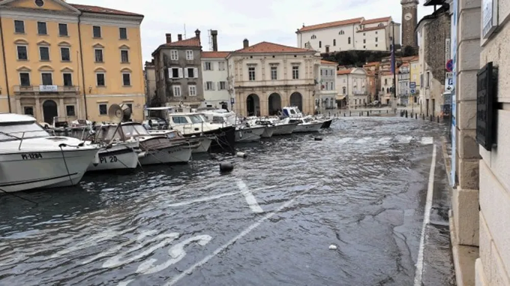 Plimovanje v piranskem mandraču se je nadaljevalo tudi danes dopoldne.