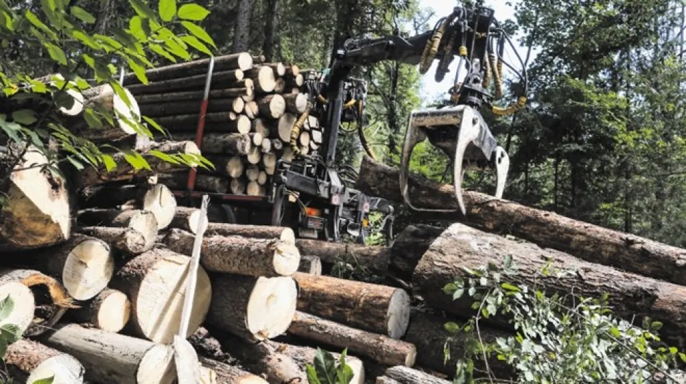 Državno gozdarsko podjetje SiDG, ki od 1. julija 2016 upravlja državne gozdove, se opremlja z lastno gozdarsko mehanizacijo. Zasebniki, ki prek javnih razpisov sekajo v državnih gozdovih, so prepričani, da je to metanje denarja skozi okno.