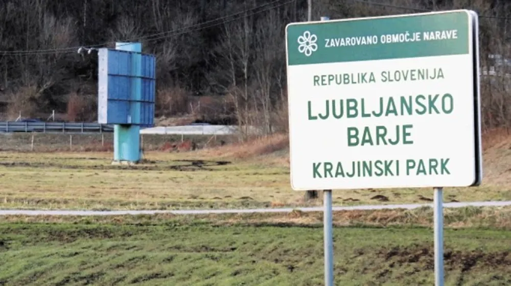 Na območju Krajinskega parka Ljubljansko barje je postavljenih precej reklamnih panojev.