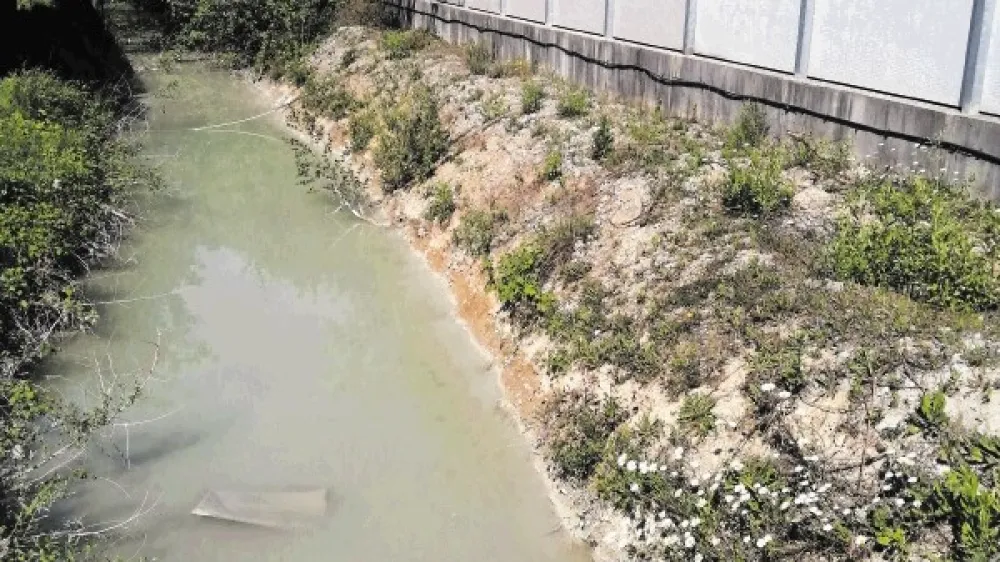 Gregor Marolt, direktor betonarne ob Cesti v Gorice, trdi, da je v jarku meteorna voda, pome&scaron;ana s  prahom s ceste.