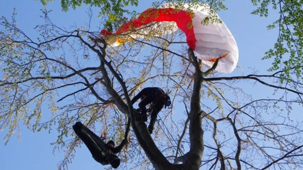 Fotografija je simbolična.