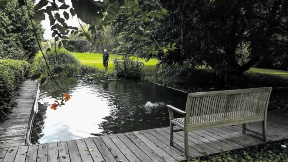 Na dolgem travniku, ki v &scaron;irino meri 45 metrov in v dolžino z zeleno obrobo vred 900 metrov, ima ob velikem drevesu opazno mesto tudi ribnik.