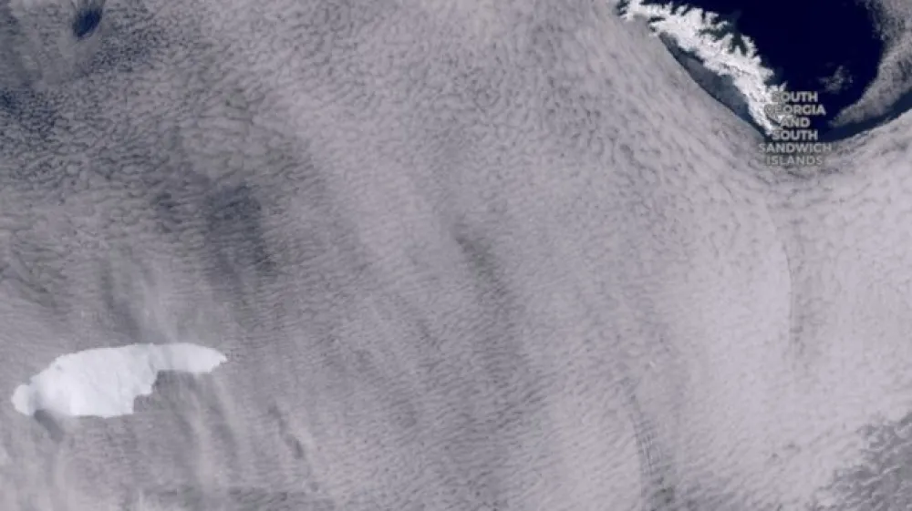 Največja ledena plo&scaron;ča na svetu se približuje odročnemu otoku v južnem Atlantskem oceanu, kjer živi več tisoč pingvinov in tjulnjev.