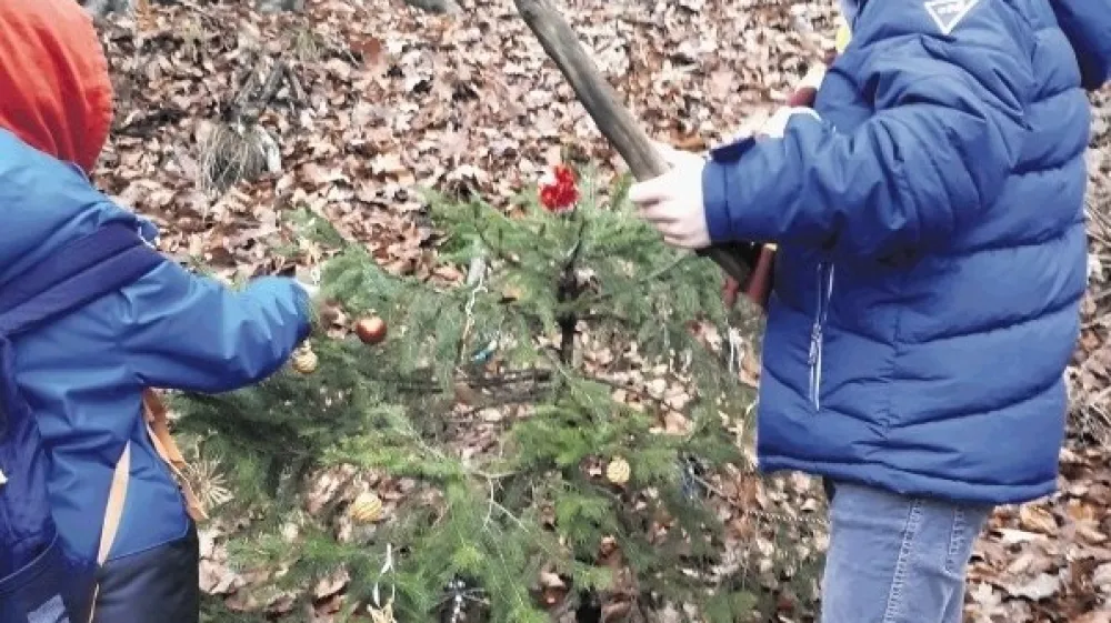 Otro&scaron;ka gozdna pot na Golovcu je urejena &scaron;e do tega petka. Potem bo potekala na drugi lokaciji.