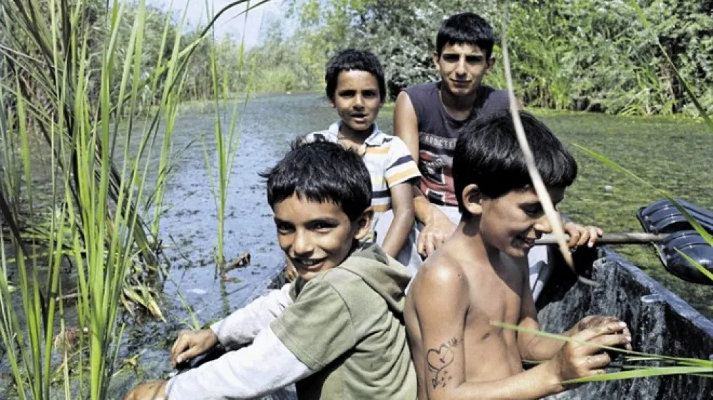 Romunski  režiser Radu Ciorniciuc se je v prvencu Acasa, moj  dom na izjemen  način lotil  dveh tematik, ki  sta v  sodobnem svetu  neločljivo povezani:   socialne izključenosti, v tem primeru  romske, in okoljske  problematike.