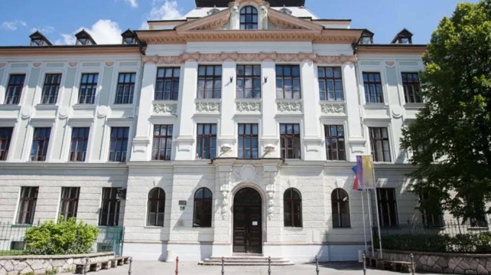 (Foto: Maja Marko / dokumentacija Dnevnika)