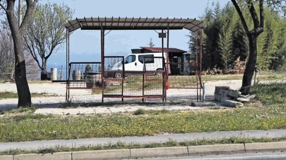 Največ obcestnih (pre)prodajalcev sadja in zelenjave je na Obali. Njihova zlasti priljubljena lokacija je Belveder nad Izolo. Po besedah izolskega župana sta na stojnicah ob cesti Portorož&ndash;Izola le dva lokalna pridelovalca.