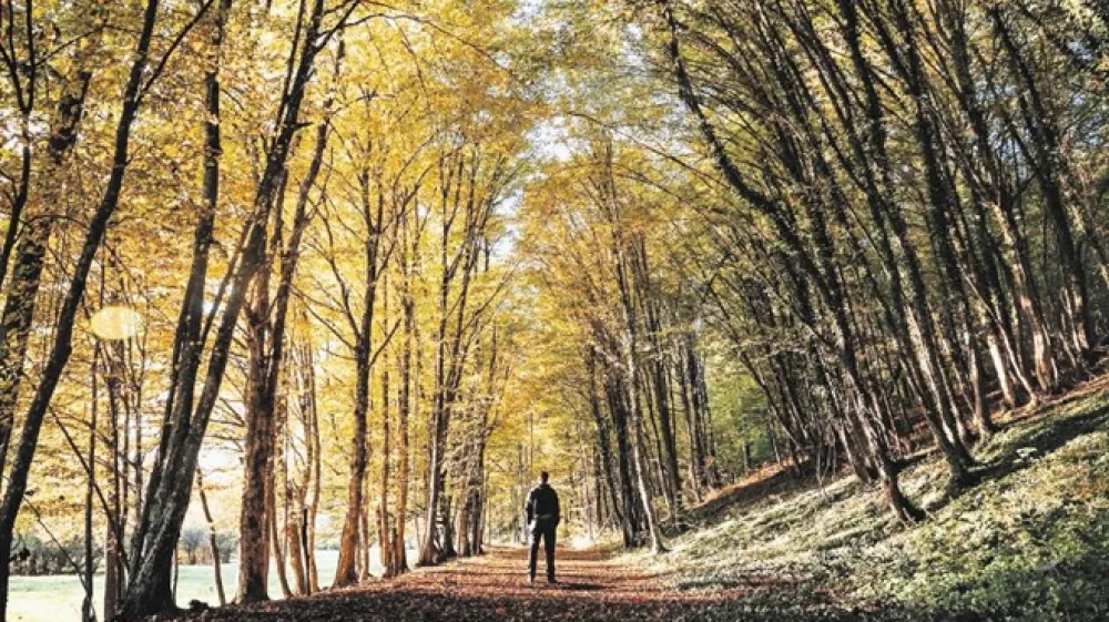 Krajinski park Lahinja je park voda, v katerem najdemo  sedemdeset izvirov, kar je na kra&scaron;kem območju prava redkost.