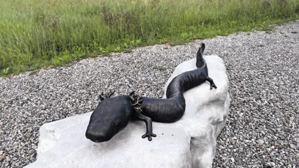 Črnomaljci so postavili spomenik črni člove&scaron;ki ribici.