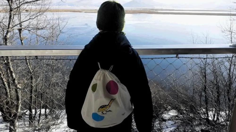 Iz opazovalnic na poti je neverjeten razgled na Cerkniško jezero.