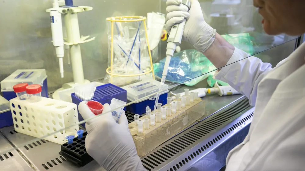 - 04.03.2020  Maribor - Nacionalni laboratorij za zdravje, okolje in hrano (NLZOH) - Center za medicinsko mikrobiologijo  testiranje vzorcev dihal bolnikov pri katerih obstaja sum na okubo z novim koronavirusom SARS-CoV-2 (COVID-19), Prvomajska 1 v Mariboru //FOTO: Matja RutOPOMBA: REPORTAA ZA OBJEKTIV 2020