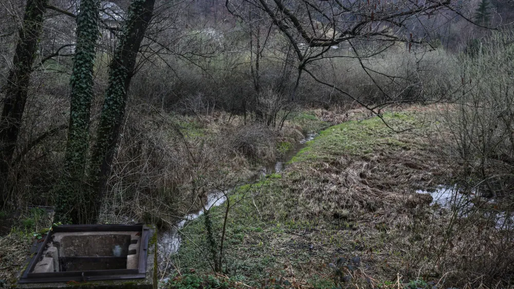 - potok - 02.04.2022 &ndash; Ljubljana - Rakovnik - predel Ljubljane na južnem pobočju Golovca pod Zelenim hribom, ki je dobil ime po potočnih rakih, //FOTO: Bojan Velikonja